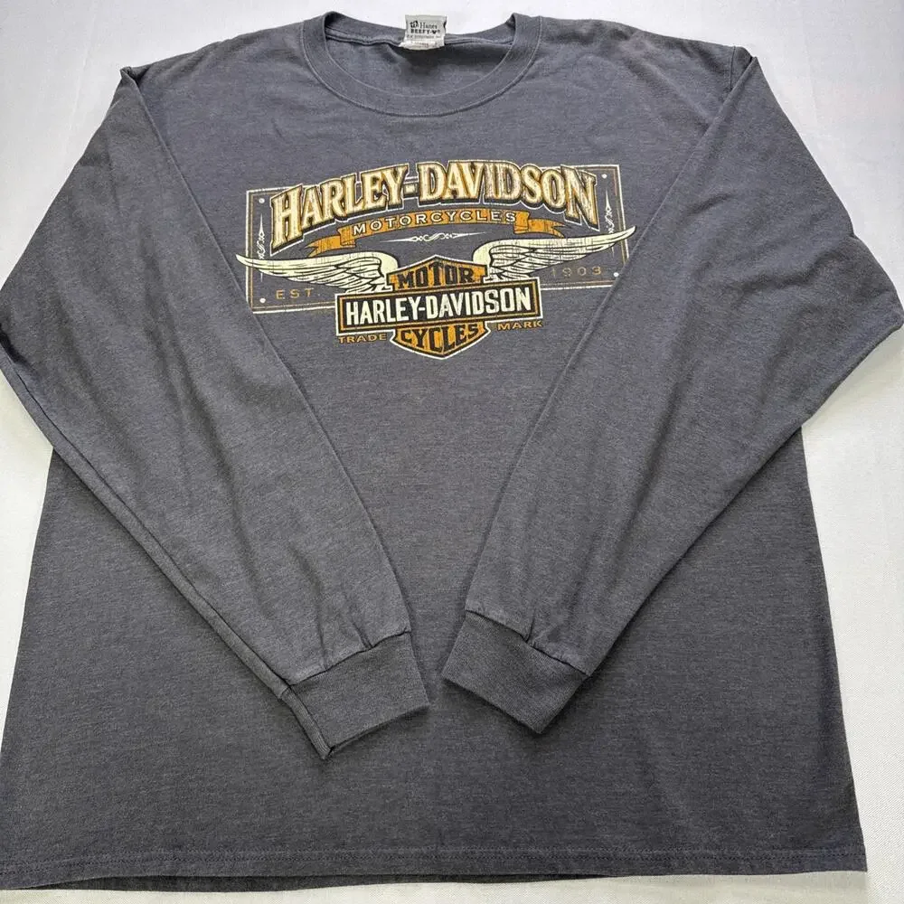 Harley-Davidson Motorcycle Chester’s Jackson Hole WY Graphic T-Shirt Gray XL LS